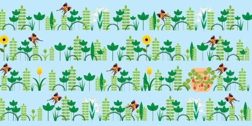 Counting in the Garden: Hardcover Popular Edition