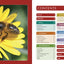 Bee Manual: The Complete Step-by-Step Guide to Keeping Bees