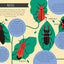 National Trust: Out and About Minibeast Explorer: A children's guide to over 60 different minibeasts