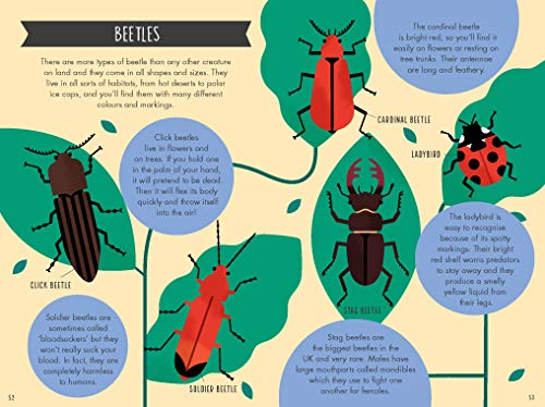 National Trust: Out and About Minibeast Explorer: A children's guide to over 60 different minibeasts