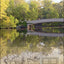 Before Central Park