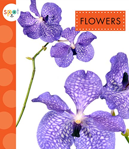 Flowers (Spot)