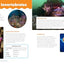 Ocean Animals and Their Ecosystems: A Nature Reference Book for Kids