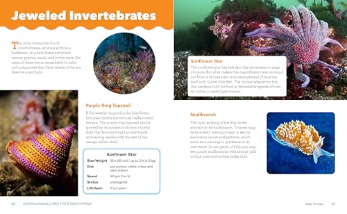 Ocean Animals and Their Ecosystems: A Nature Reference Book for Kids