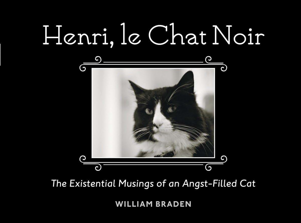 Henri, le Chat Noir: The Existential Musings of an Angst-Filled Cat