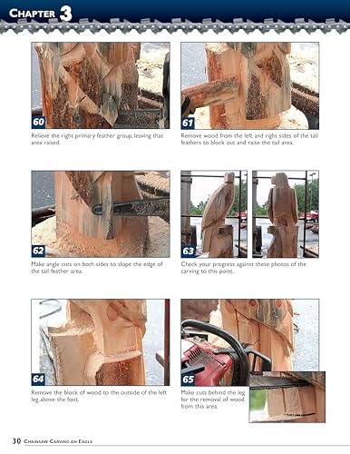 Chainsaw Carving an Eagle: A Complete Step-by-Step Guide (Fox Chapel Publishing) Beginner-Friendly Reference, Easy-to-Follow Instructions, 4 Projects, Types of Cuts, Finishing, Wood Selection, & More