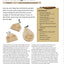 Chip Carving Starter Guide: Learn to Chip Carve with 24 Skill-Building Projects (Fox Chapel Publishing) Beginner-Friendly Step-by-Step with Full-Size Patterns that Start Simply, then Slowly Progress