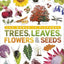 Trees, Leaves, Flowers and Seeds: A visual encyclopedia of the plant kingdom