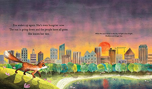 Fox Explores the Night: A First Science Storybook (Science Storybooks) — back cover