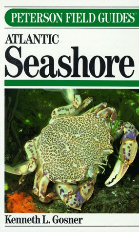 Field Guide to the Atlantic Seashore from the Bay of Fundy to Cape Hatteras (Peterson Field Guide Series)