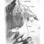 After the Wind: Tragedy on Everest - One Survivors Story by