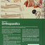 Netter's Orthopaedics, 1e