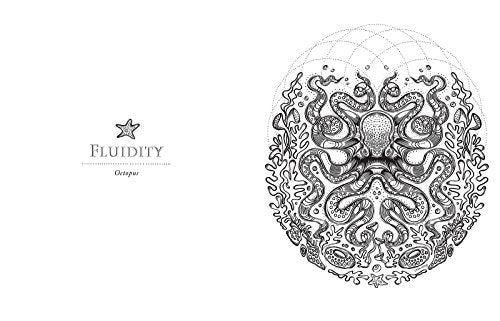 Sacred Animals (Coloring Books for the Soul)