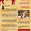 Righteous Porkchop: Finding a Life and Good Food Beyond Factory Farms