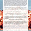Napalm: An American Biography by Neer, Robert M.