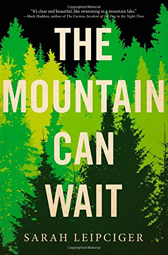 The Mountain Can Wait by Leipciger, Sarah