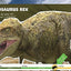 Dino Dana: Dino Field Guide by J.J. Johnson