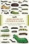 The Book of Caterpillars: A Life-Size Guide to Six Hundred Species from around the World (Life-Size Guides to the Best of Nature)