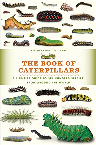 The Book of Caterpillars: A Life-Size Guide to Six Hundred Species from around the World (Life-Size Guides to the Best of Nature)