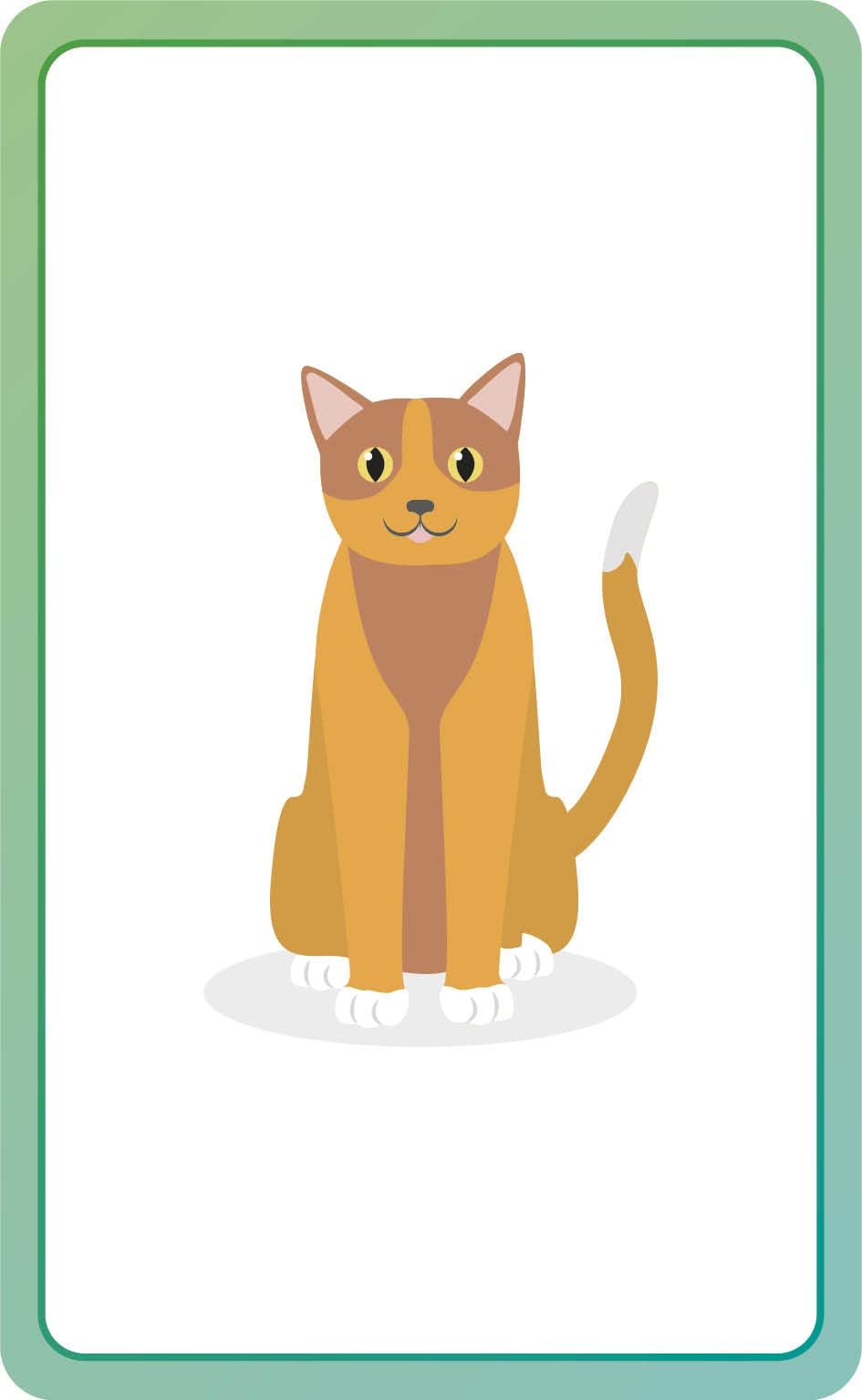 Italian for Everyone Junior First Words Flash Cards