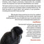 Holland Lop Rabbits The Complete Owner's Guide to Holland Lop Bunnies How to Care for your Holland Lop Pet, including Breeding, Lifespan, Colors, Health, Personality, Diet and Facts