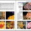 Reef Fish Identification - Florida Caribbean Bahamas - 4th Edition (Reef Set)