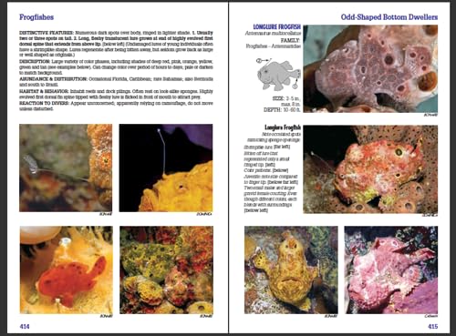 Reef Fish Identification - Florida Caribbean Bahamas - 4th Edition (Reef Set)