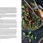 Vietnamese Food Any Day: Simple Recipes for True, Fresh Flavors [A Cookbook]