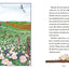 Miss Lady Bird's Wildflowers: How a First Lady Changed America