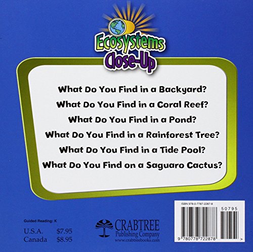 What Do You Find in a Tide Pool? (Ecosystems Close-Up)