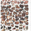 Brain Games - Sticker by Number - Vintage: Animals (28 Images to Sticker)