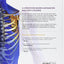Exploring Creation with Advanced Biology 2nd Edition The Human Body, Textbook