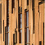 Loblolly House: Elements of a New Architecture + DVD