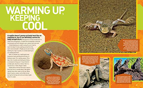 Ultimate Reptileopedia: The Most Complete Reptile Reference