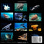 Creepy Sea Creatures - An Activity Book for Two - Fun-Schooling: Mazes, Dot to Dots, Coloring, Comics - Science - Ages 7+
