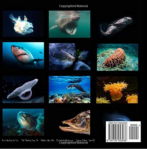 Creepy Sea Creatures - An Activity Book for Two - Fun-Schooling: Mazes, Dot to Dots, Coloring, Comics - Science - Ages 7+