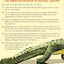 Bite: An Incisive History of Teeth, from Hagfish to Humans