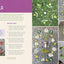 Herbal Activities for Kids: 50 Nature Crafts, Recipes, and Garden Projects