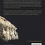 Processes in Human Evolution: The journey from early hominins to Neanderthals and modern humans