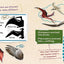 Dino Dana: Dino Field Guide: Pterosaurs and Other Prehistoric Creatures! (Dinosaurs for Kids, Science Book for Kids, Fossils, Prehistoric)