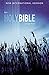 NIV, Outreach Bible, Large Print, Paperback