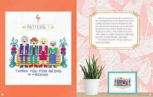 Cross Stitch The Golden Girls: Learn to stitch 12 designs in