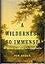 A Wilderness So Immense: The Louisiana Purchase and the Destiny of America