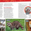 Absolute Expert: Pandas: All the Latest Facts From the Field With National Geographic Explorer Mark Brody