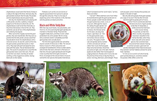 Absolute Expert: Pandas: All the Latest Facts From the Field With National Geographic Explorer Mark Brody
