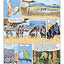 Sapiens: A Graphic History: The Birth of Humankind (Vol. 1)