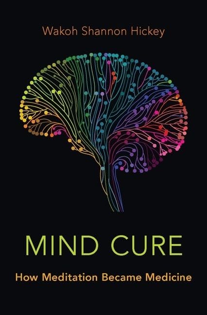 Mind Cure: How Meditation Became Medicine