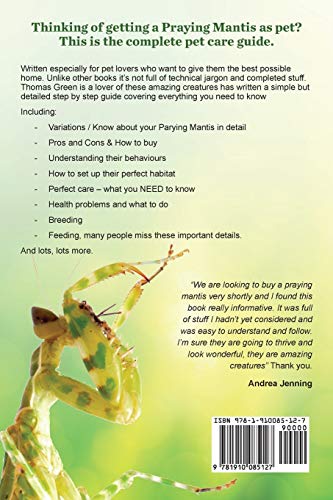 Praying Mantis Ultimate Care Guide