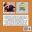 How Daddy Got An STD: Understanding Safe Sex And Prostitution (Rejected Childrens Books)