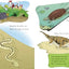 Miles and Miles of Reptiles: All About Reptiles (The Cat in the Hat's Learning Library)